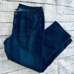 Venezia by Lane Bryant Plus Size Poly/Cotton/Spandex blue jeans size 22S